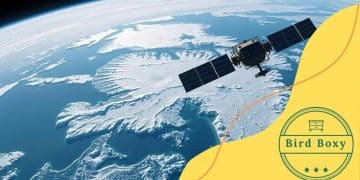 US spy agencies Greenland surveillance tactics revealed