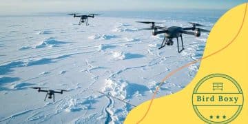 Greenland surveillance directive 2025: what to expect