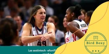 Sue Bird Team USA appointment: What it means for basketball