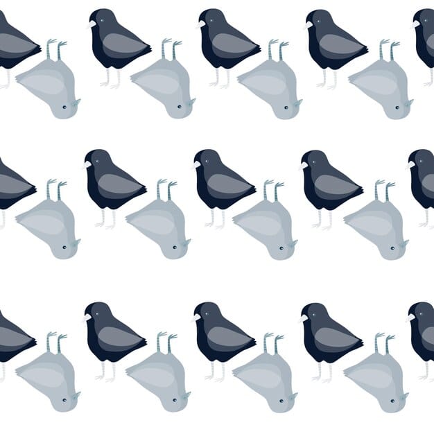 A comparative illustration showing different flock formations: a V-formation of geese, a circular formation of ducks, and a starling murmuration, each labeled with arrows indicating the direction of movement and key behaviors.
