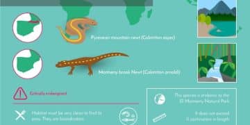 Reptilian Shedding Behavior: Unveiling Health Insights in 2025 - Internal Image 1