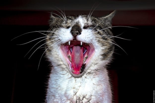 Decoding Cat Language: Understanding Feline Vocalizations This Year