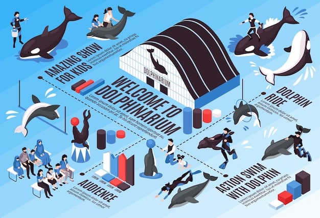 A comparative illustration depicting the length of REM cycles in different animals, such as dolphins, elephants, bats, and humans, visually representing the varying durations.