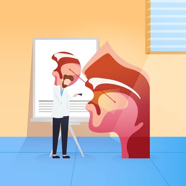 A detailed illustration of the vomeronasal organ (VNO) in a mammal, showing its location and how it detects pheromones. Include labels for key structures and arrows indicating the pathway of scent molecules.