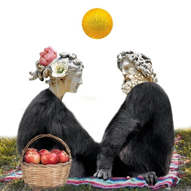 Animal Cognition: Problem-Solving in Corvids & Primates