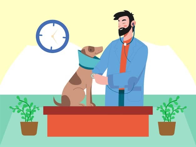 A veterinarian interacting calmly with a nervous dog, showing a positive handling approach. The vet should be kneeling to appear less intimidating.