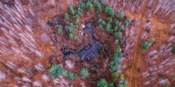 New Federal Regulations Protect US Wildlife Habitats: Impacts on Local Species - Cover Image