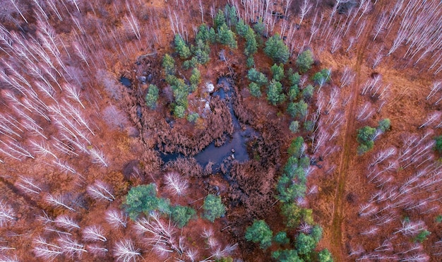 New Federal Regulations Protect US Wildlife Habitats: Impacts on Local Species