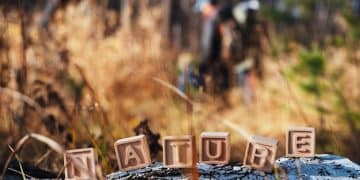 Wildlife Conservation Grants: US Funding Guide (2026 Deadline) - Cover Image