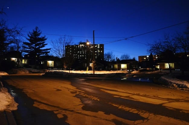 Coexisting with Coyotes: Expert Strategies for Safety in US Neighborhoods