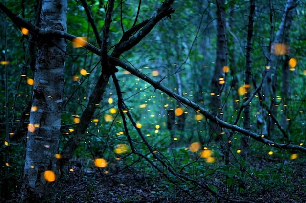 The Impact of Light Pollution on Wildlife: Reducing Your Footprint in 2025