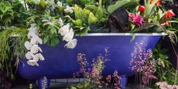Building a Backyard Wildlife Habitat in the US - Cover Image