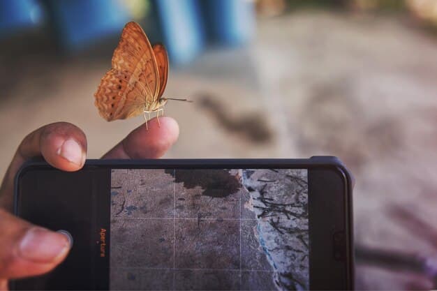 A screenshot of the iNaturalist app interface on a smartphone. The screen shows a close-up photo of a butterfly with options to identify the species and record the location.