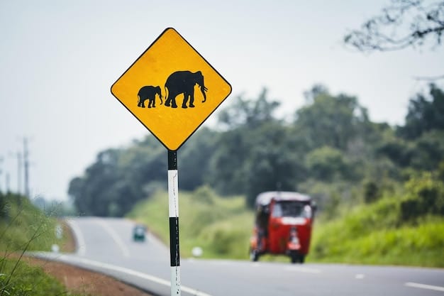 A sign warning drivers to watch out for wildlife crossing the road, emphasizing the importance of preventing vehicle collisions that often result in animal injuries.