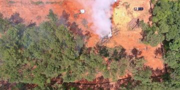 Prescribed Burns: How Controlled Fires Benefit US Wildlife Habitats - Cover Image