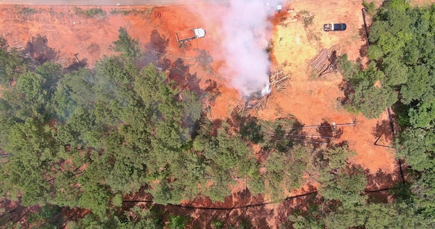 Prescribed Burns: How Controlled Fires Benefit US Wildlife Habitats