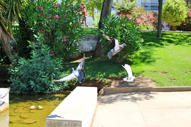 Create a Wildlife Oasis: Easy Water Sources for Your Backyard