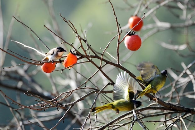 A group of songbirds perched on the branches of a native dogwood tree, feeding on its berries, illustrating the direct food source provided by native plants.