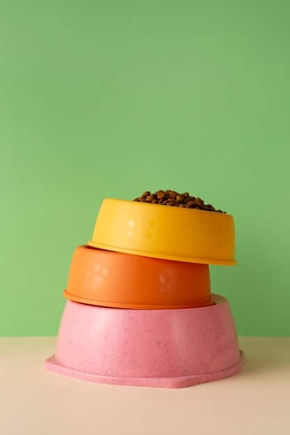 A split image showing two different dog food bowls. One bowl contains vibrant, whole ingredients like carrots, blueberries, and chicken, while the other contains processed kibble with artificial colors. The background is a clean, modern kitchen.