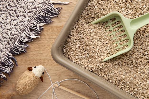 A close-up shot of different types of cat litter (clay, crystal, wood) side-by-side, emphasizing their textures and compositions.