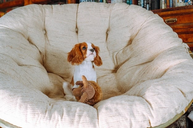 The Ultimate Guide to Dog Beds: Expert Reviews & 2025 Comfort Tests