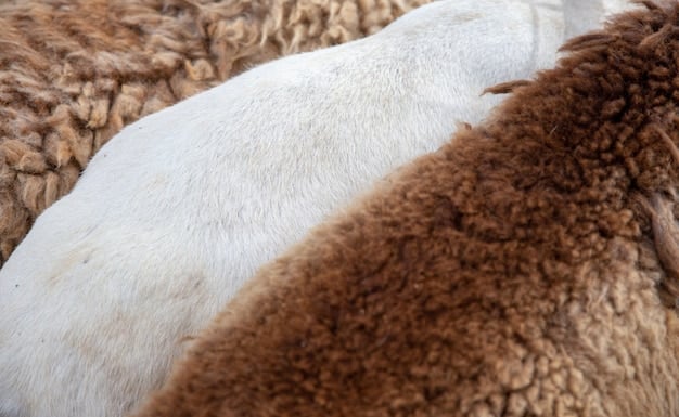 Swatches of different dog bed materials, including fleece, microsuede, and canvas, with close-up textures visible to showcase their varying durability and softness.