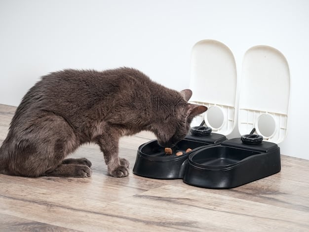 A cat approaching a Sure Petcare Microchip Feeder, with the feeder lid opening as the cat gets close. The focus is on the cat and the feeder, highlighting the microchip recognition feature. The background is a clean, modern kitchen.