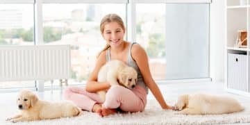 Dog Crate Reviews: Find the Perfect Size & Style in 2025 - Cover Image