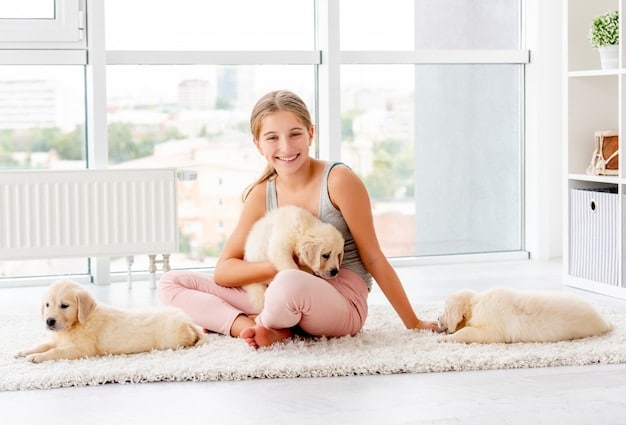 Dog Crate Reviews: Find the Perfect Size & Style in 2025
