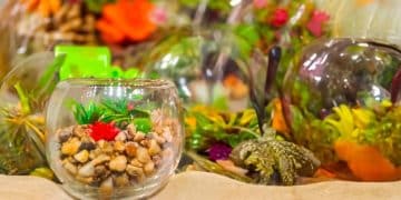 Aquarium Filter Reviews: Clear Water and Healthy Fish in 2025 - Cover Image