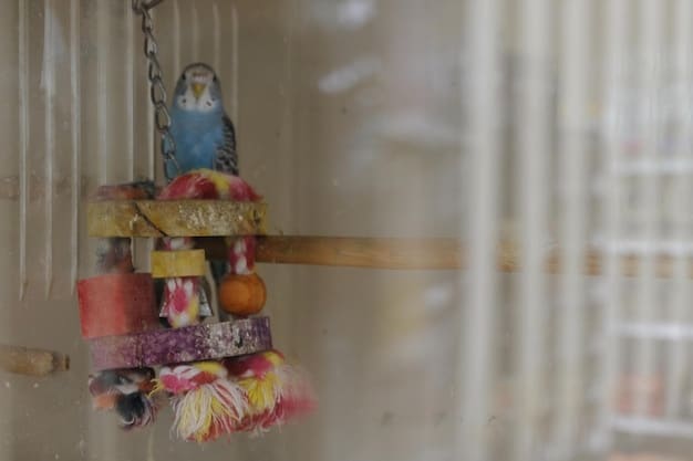 Bird Cage Reviews: Find the Perfect Home for Your Feathered Friend in 2025
