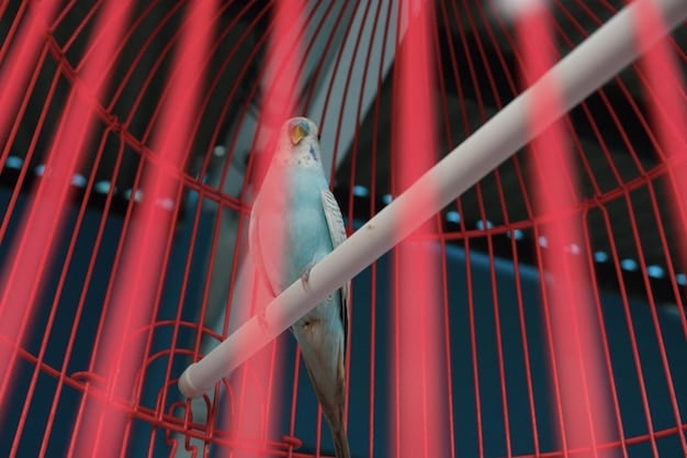 A split-screen image showing a bird cage with horizontal bars on one side and a bird cage with vertical bars on the other, with a small infographic highlighting the benefits of horizontal bars for climbing birds.