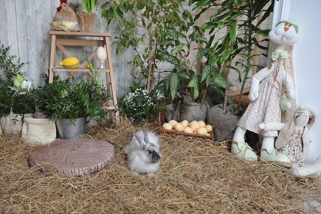 Rabbit Hutch Reviews: Ensuring Bunny Comfort & Safety in 2025