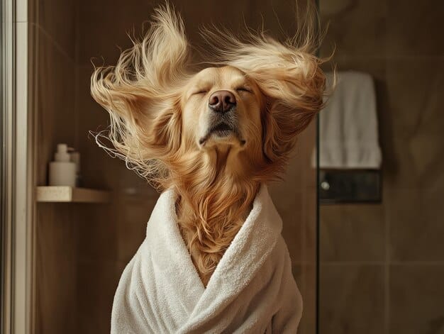 Dog Shampoo Reviews: Top Picks for a Healthy, Shiny Coat in 2025