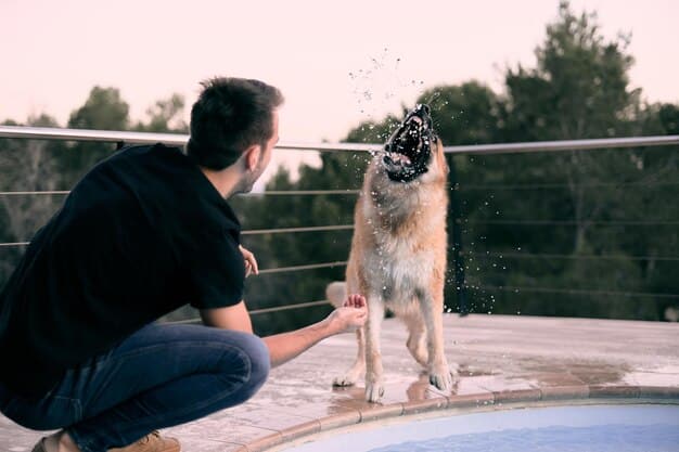 A dog stands attentively as a person gently pours water over its back during a bath. The setting appears calm and supportive, suggesting a positive bathing experience for the animal.