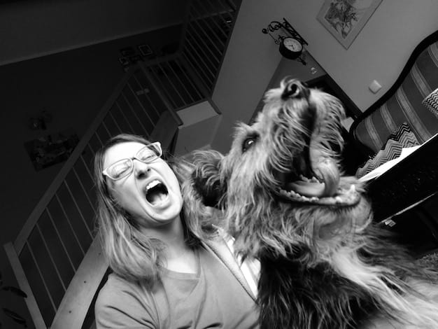 A split image showing an older dog struggling to get up, contrasted with a vibrant, energetic dog running and playing, highlighting the potential impact of joint supplements.