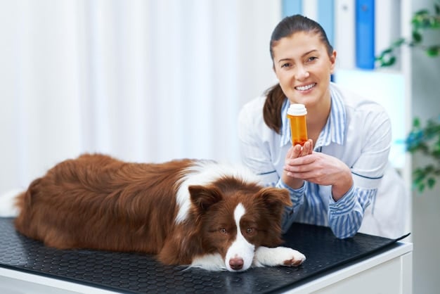 A veterinarian smiling and holding a dog while pointing at a supplement bottle, emphasizing the role of expert recommendations in choosing pet supplements.