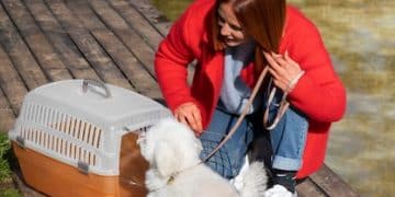 Is Your Pet Carrier Safe? 2025 Reviews & Safety Standards - Cover Image