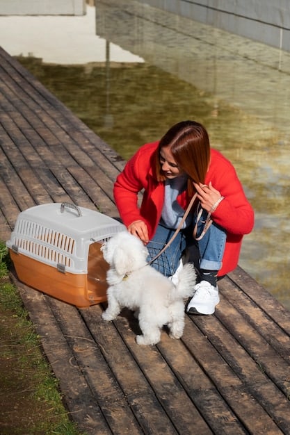 Is Your Pet Carrier Safe? 2025 Reviews & Safety Standards