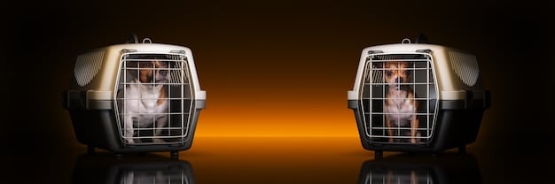 A split image showing two different pet carriers: one soft-sided carrier with mesh windows and a handle, and one hard-sided carrier with secure latches and a sturdy design. A small dog is shown comfortably inside each carrier.