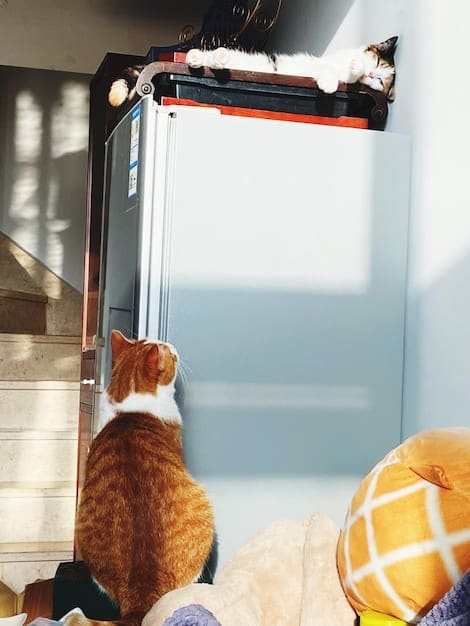 A detailed shot of a pet carrier's ventilation system, highlighting mesh windows and strategically placed air holes. An arrow points to the airflow path demonstrating how air circulates inside the carrier to keep the pet cool and comfortable.