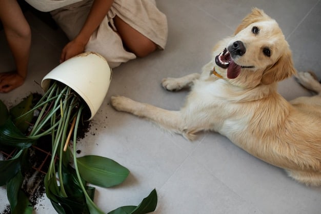 Dental Chews for Dogs: Vet Reviews & Recommendations in 2025