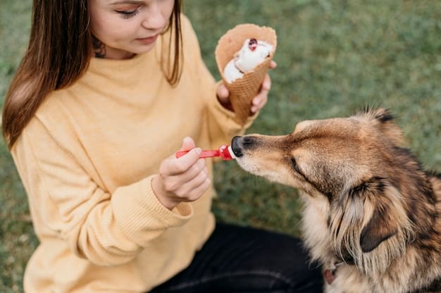 A dog owner supervising their small dog chewing on a dental chew, ensuring the dog is safely enjoying the treat.