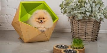 New Pet Camera Reviews: Stay Connected with Your Furry Friend in 2025 - Cover Image