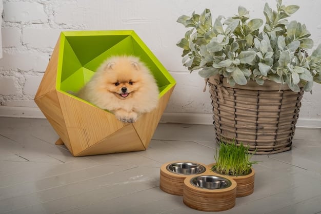 New Pet Camera Reviews: Stay Connected with Your Furry Friend in 2025
