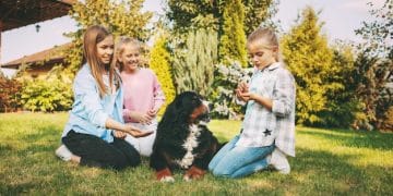 Hypoallergenic Dogs 2025: Breed Profiles & Allergy Management Tips - Cover Image