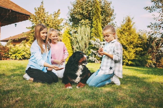 Hypoallergenic Dogs 2025: Breed Profiles & Allergy Management Tips