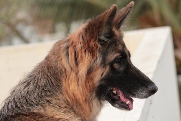 A close-up, side-profile shot of a German Shepherd with erect ears and alert expression, showcasing their intelligence and trainability, set against a neutral, slightly blurred background to focus on the dog's features.