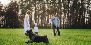 Hybrid Dog Breeds: Exploring Profiles & Health in 2025 - Cover Image