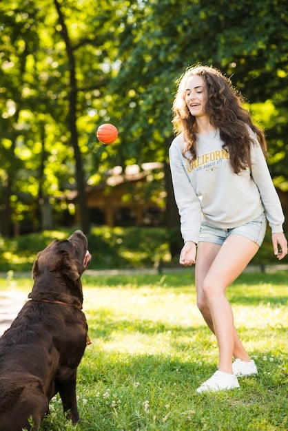 Sporting Dog Breeds in 2025: Profiles & Exercise Needs for US Owners